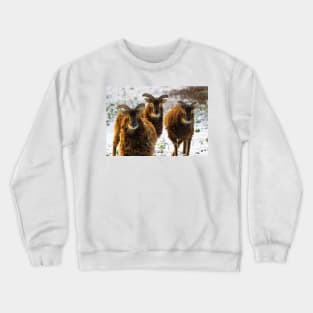 Sheep Crewneck Sweatshirt